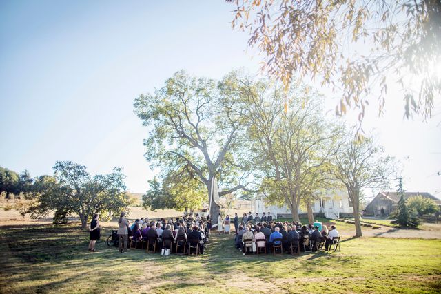 Featured photo from The Meadow and Walnut Tree