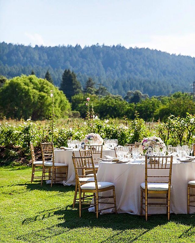 Featured photo from Great Lawn