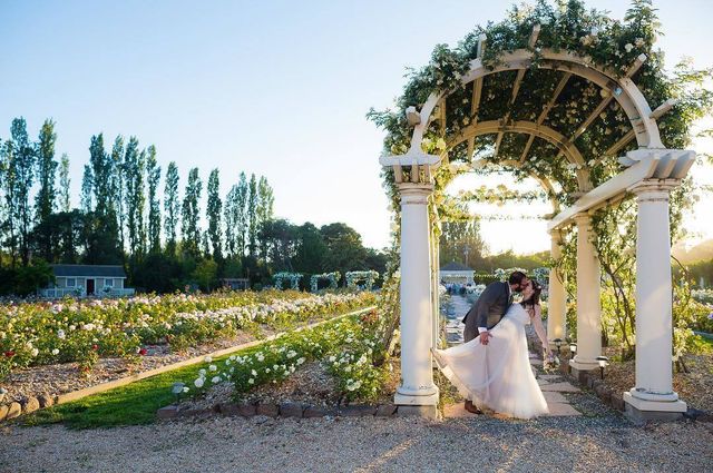 Featured photo from Belvedere & Lawns