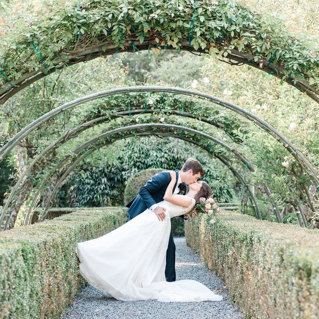 Featured photo from Secret Garden