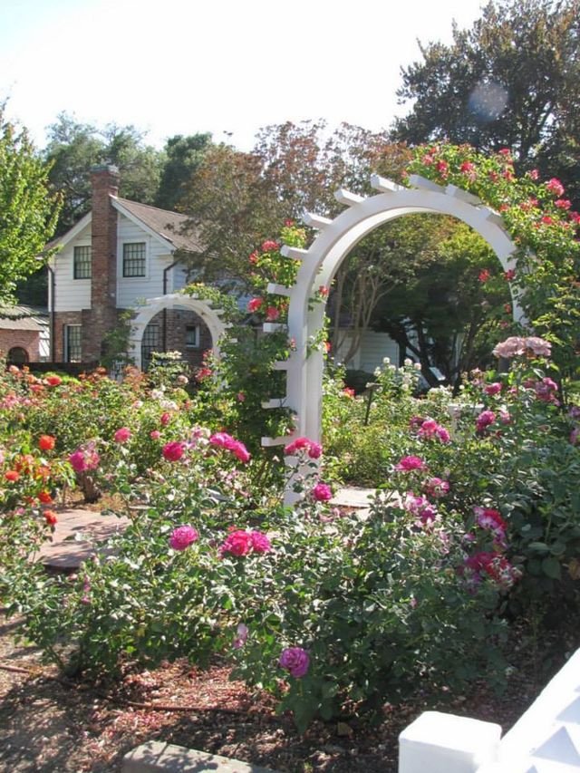 Featured photo from The Rose Garden