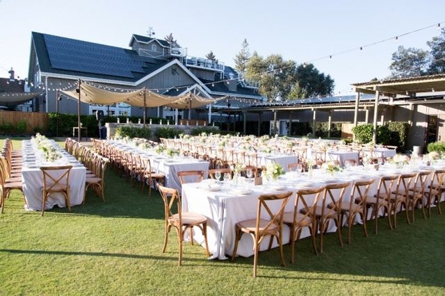 Featured photo from THe Lawn