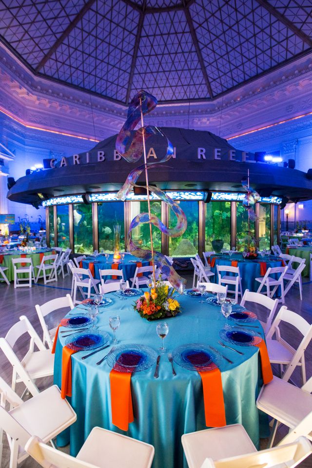Featured photo from Oceans of Fun B'nai Mitzvah Party