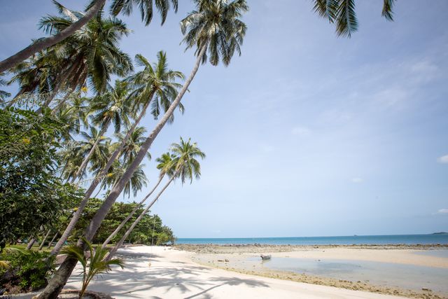 Featured photo from Mike and Van