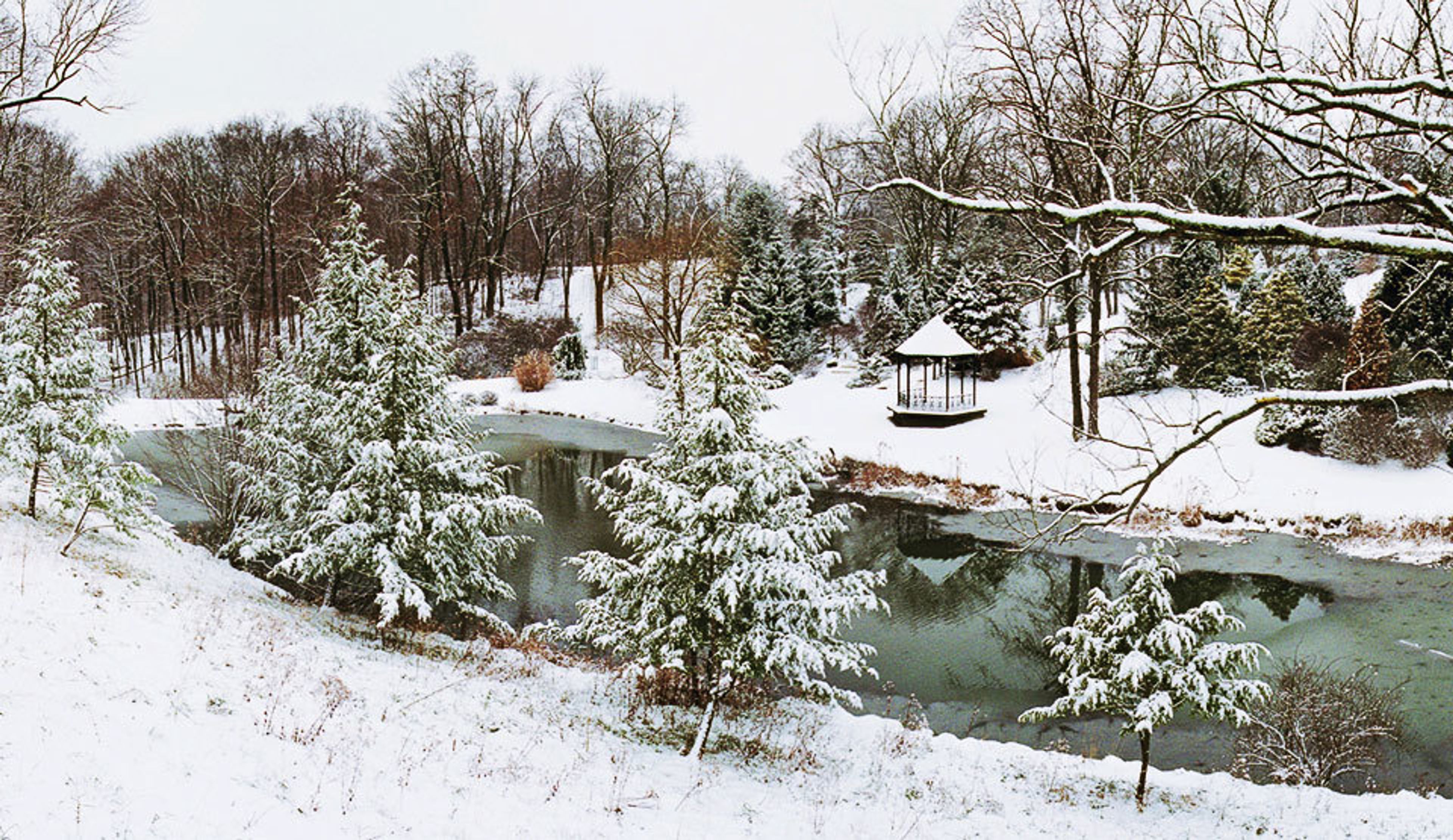 Maple Ridge Lodge, an event space at Maple Ridge Lodge