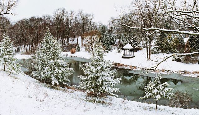 Featured photo from Maple Ridge Lodge