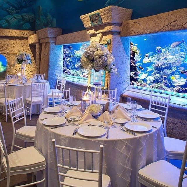 Featured photo from Coliseum Room