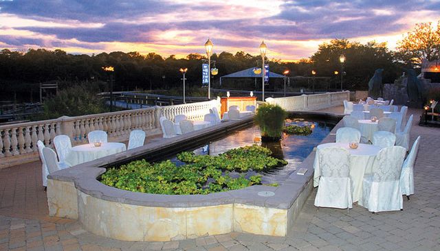 Featured photo from Koi Pond