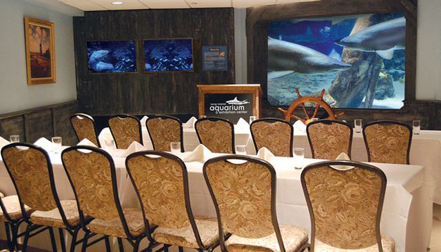 Featured photo from Shark Tunnel Room