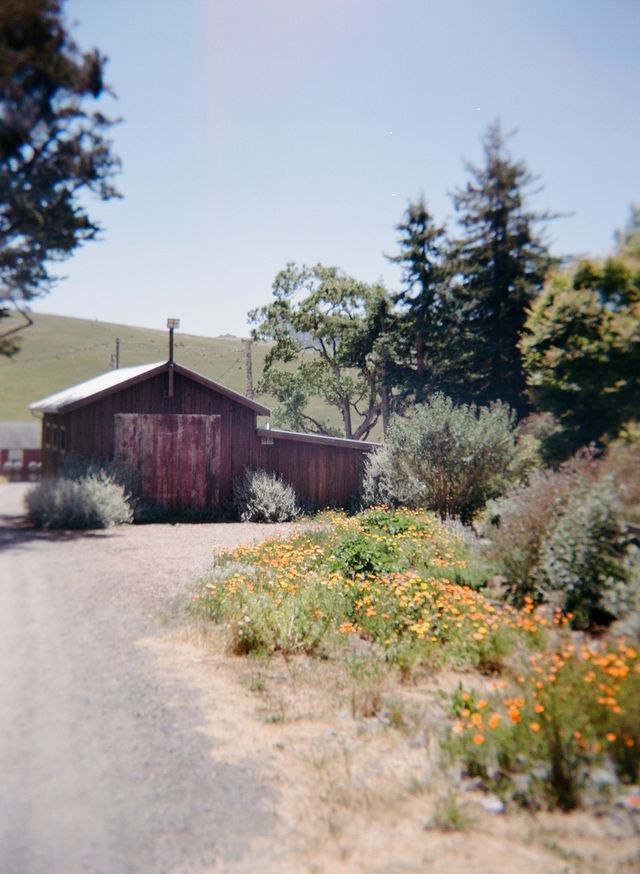 Featured photo from Casual-Chic and Colorful Spring Wedding in a Rustic California Barn