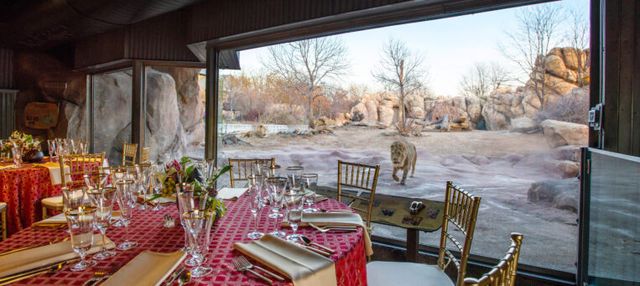 Featured photo from Pahali ya Simba