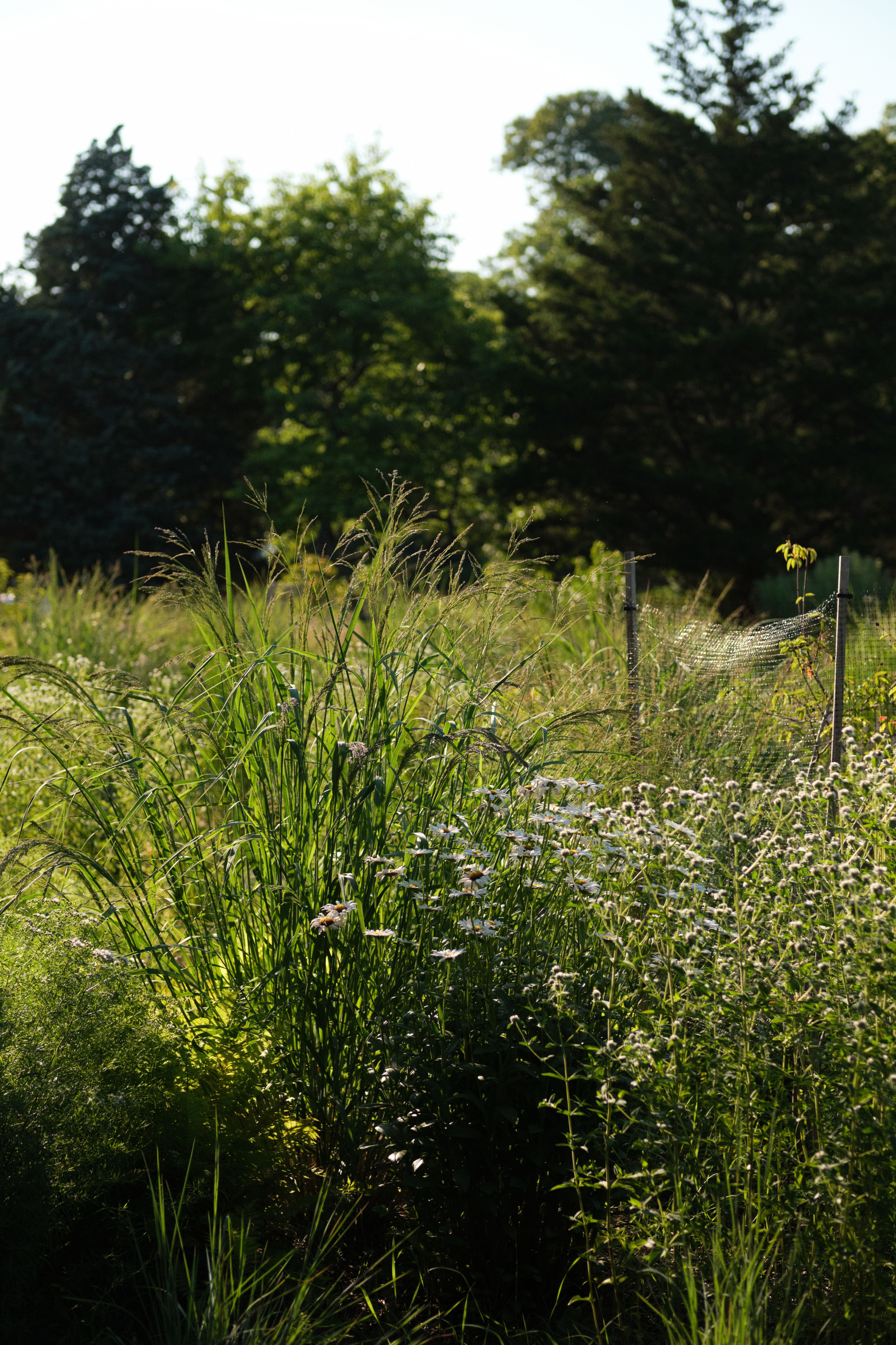 Intimate Coastal Retreat with Private Gardens, an event space at Three Ducks Westhampton