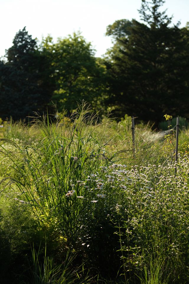 Featured photo from Intimate Coastal Retreat with Private Gardens
