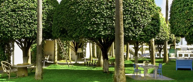 Featured photo from Orchard