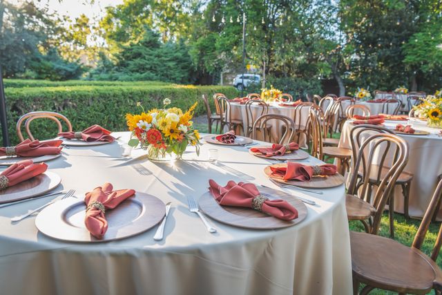 Featured photo from Bright and Light Messina Orchard Dinner