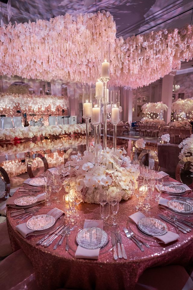 Featured photo from Petals of Perfection: Moments in Bloom