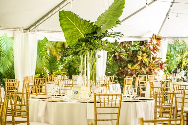 Featured photo from Tasteful and Tropical Wedding at Samsara Gardens in Miami, Florida