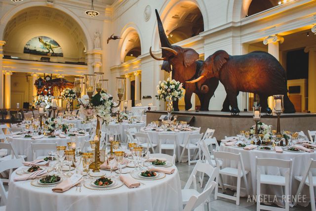 Featured photo from Glamorous White Wedding at the Field Museum in Chicago, IL