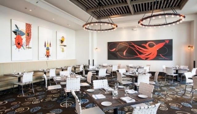 Featured photo from Calamar