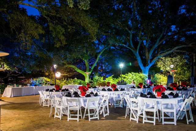 Featured photo from Jaguar Habitat