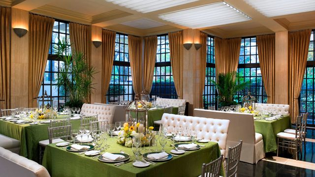 Featured photo from Conservatory