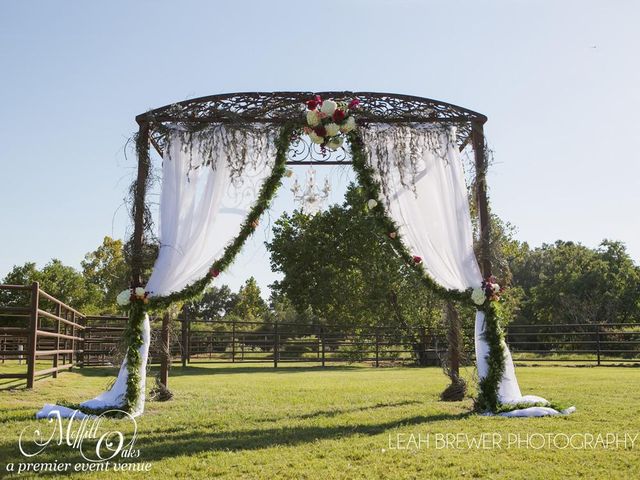 Featured photo from The Arbor