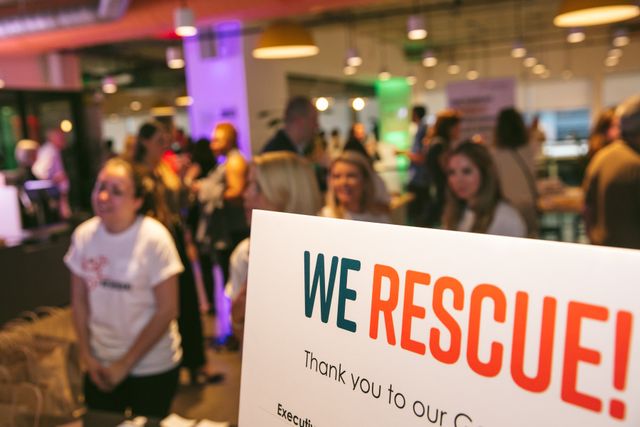 Featured photo from WE RESCUE!