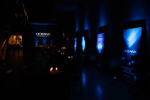 Featured photo from OceanX Brand Launch