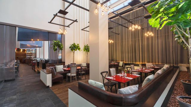 Featured photo from Trace Restaurant