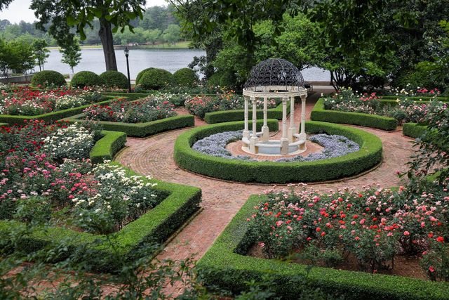 Featured photo from Janie E. Furman Rose Garden