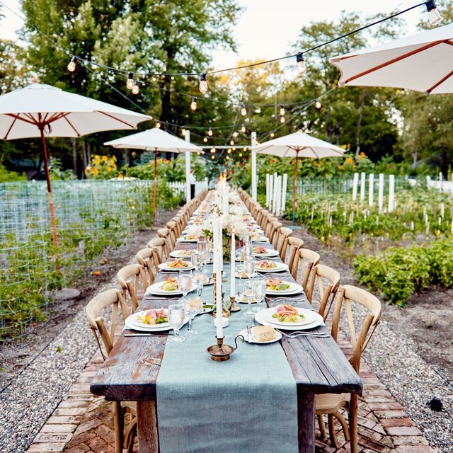 Featured photo from Chef's Garden