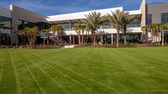 Featured photo from Lyonia Lawn