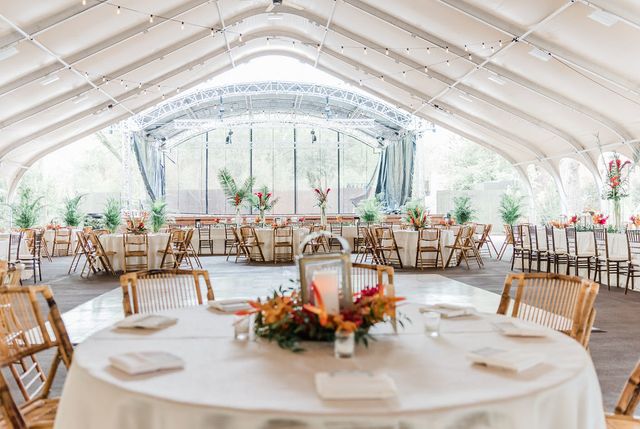 Featured photo from Fort Worth Zoo Reception