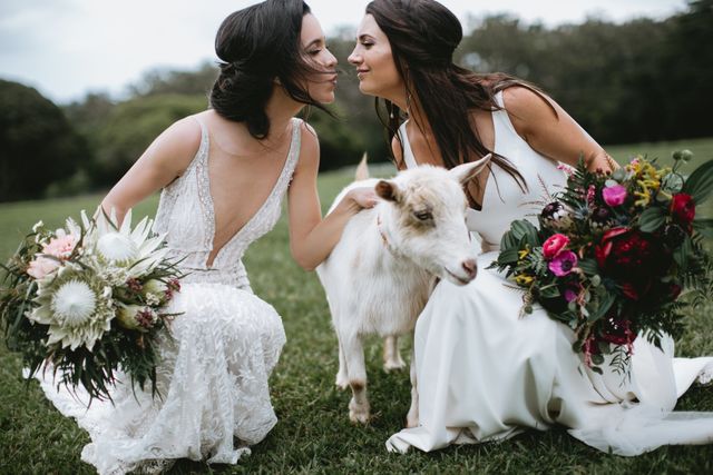 Featured photo from Mandy + Kaliko