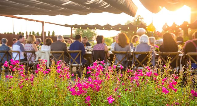 Featured photo from Patz & Hall Outdoor Space