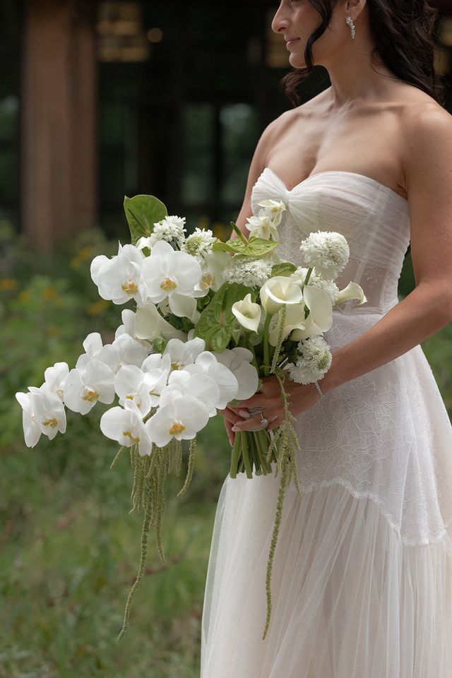 Featured photo from The Dunlin Affair