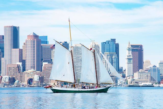 Featured photo from Liberty Clipper