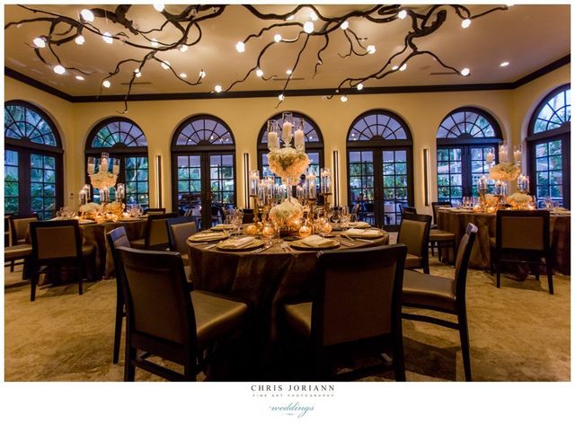 Featured photo from Conservatory