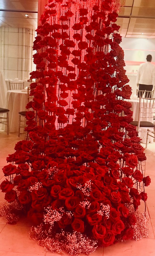 Featured photo from Shai Gala