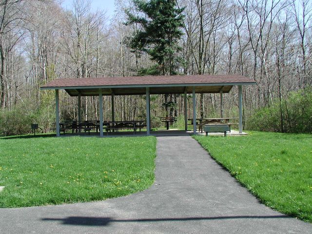 Featured photo from Wisteria Hill Shelter