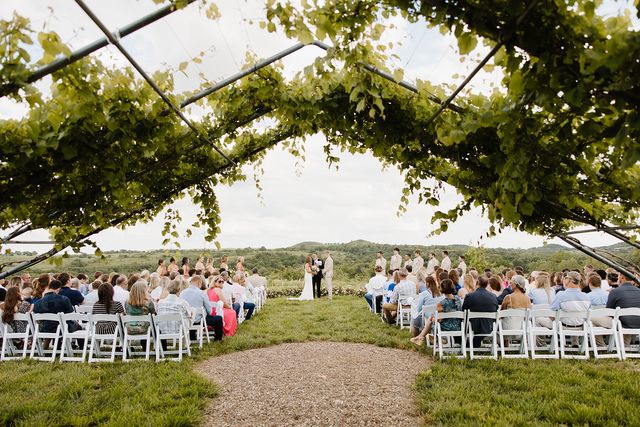 Featured photo from Vineyard Knoll