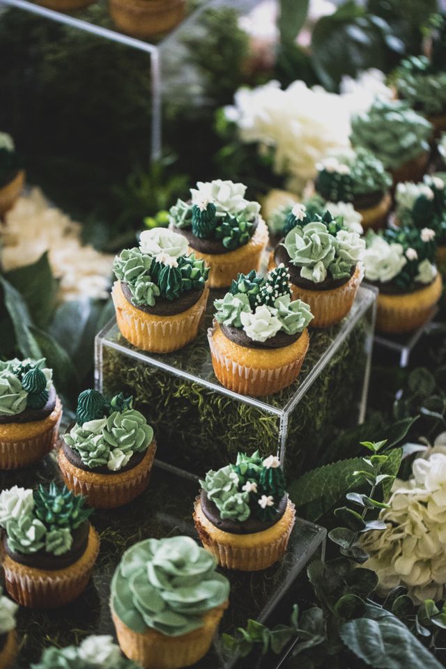 Featured photo from succulent dessert garden