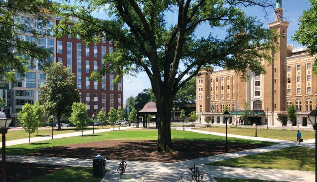 Featured photo from Monroe Park
