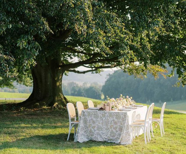 Featured photo from Copper Beech Tree Lawn