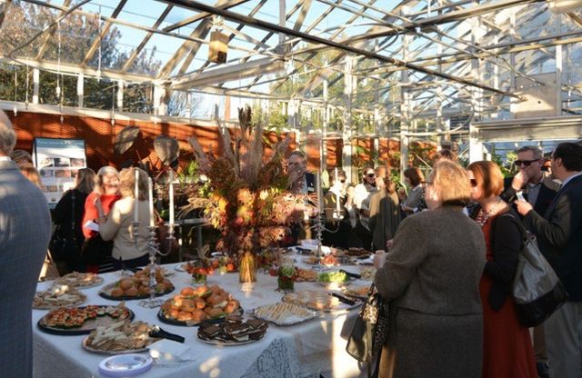 Featured photo from Beaumont Allen Greenhouse