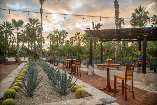 Featured photo from Agave Garden