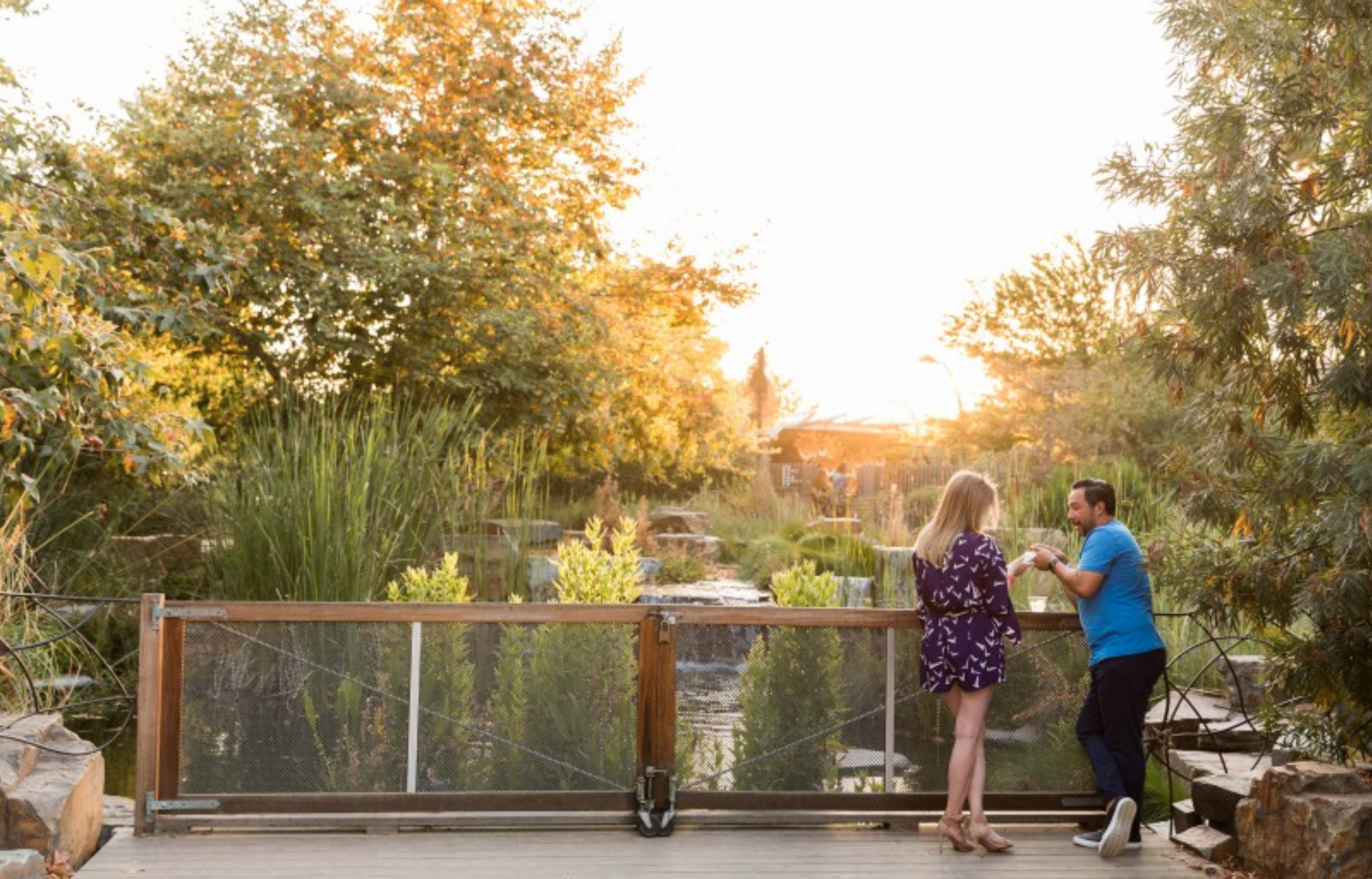 The Pond and Pollinator Garden, an event space at Natural History Museum of LA
