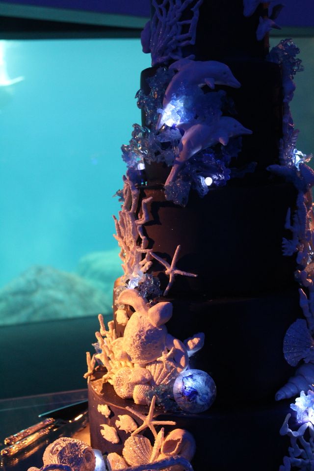 Featured photo from Glamorous Georgia Aquarium Wedding