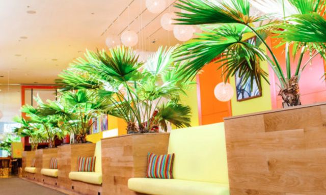 Featured photo from Mariposa & Lantana