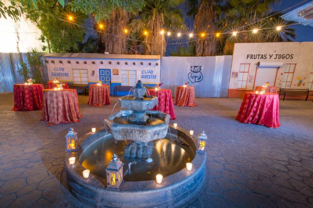 Featured photo from Forest of Uco